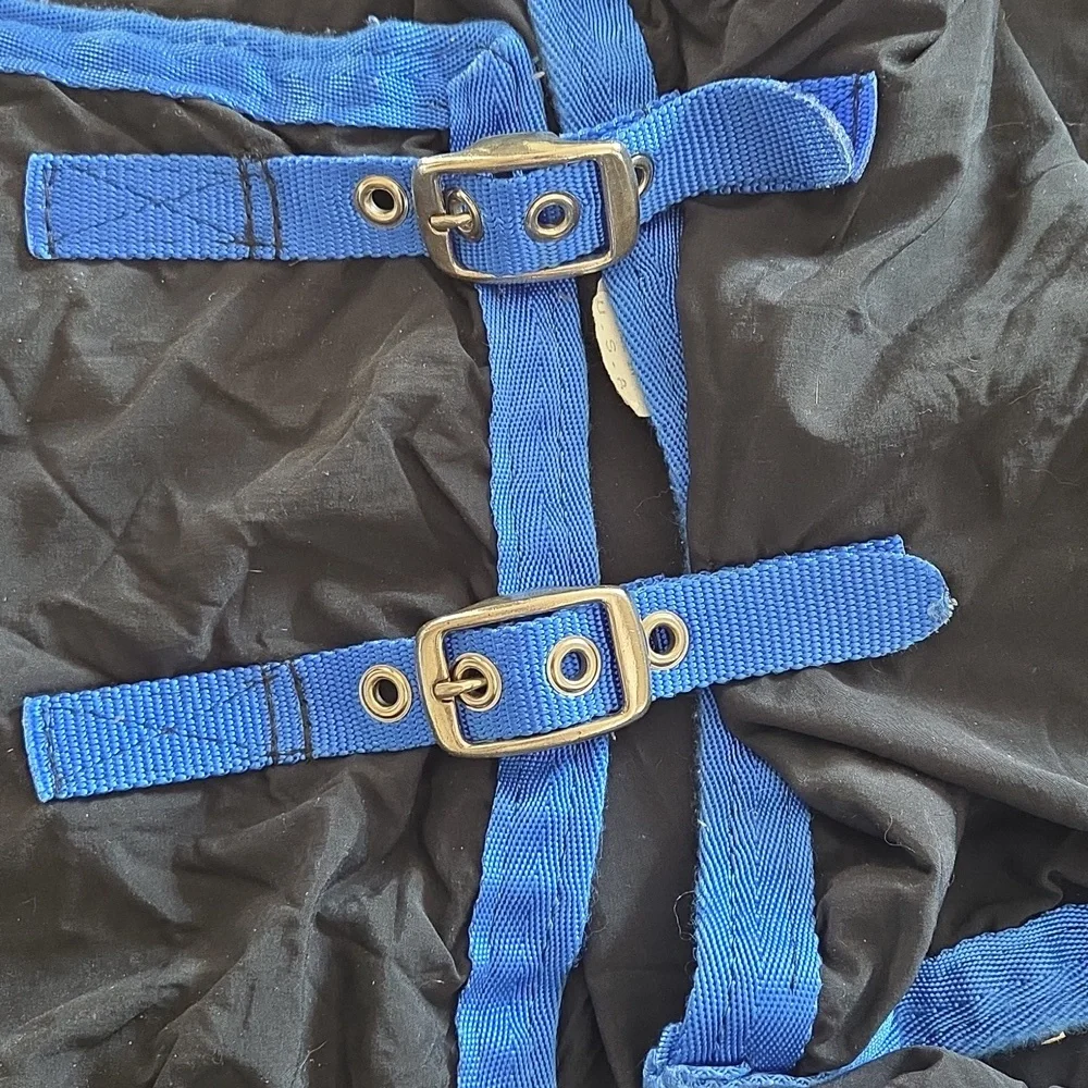 Wilsun Custom Sweatless horse Sheet Size 80 - Picture 4 of 6